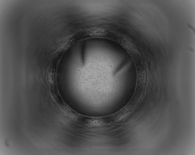 X0000091850755200709191056