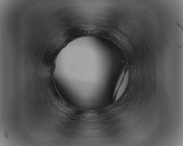 X0000091850756200709191056