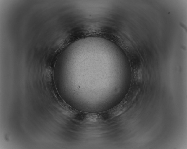 X0000091850757200709191056
