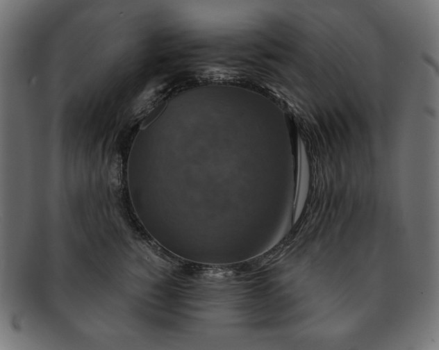 X0000091850760200709191056