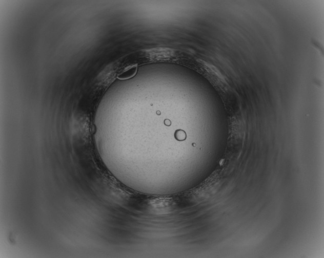 X0000091850761200709191056