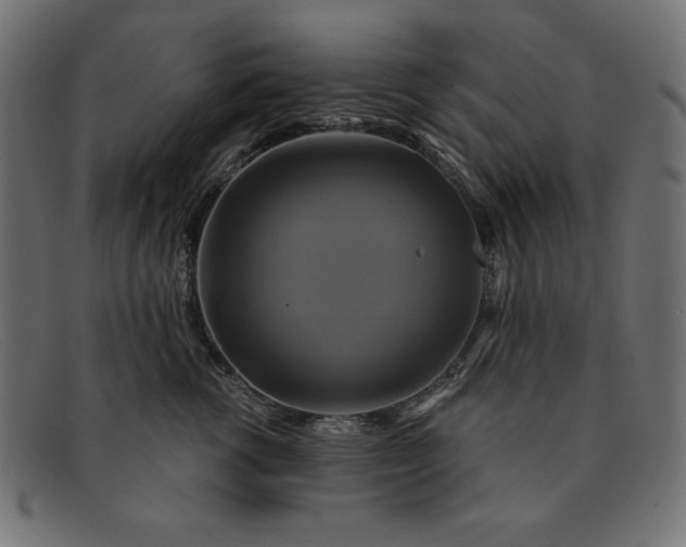 X0000091850762200709191056