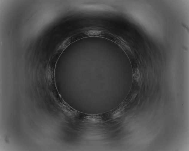 X0000091850763200709191056