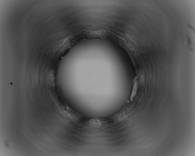 X0000091850764200709191056