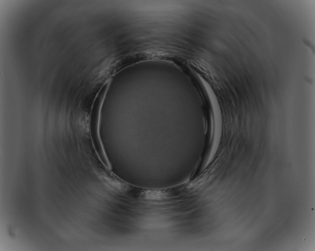 X0000091850766200709191056