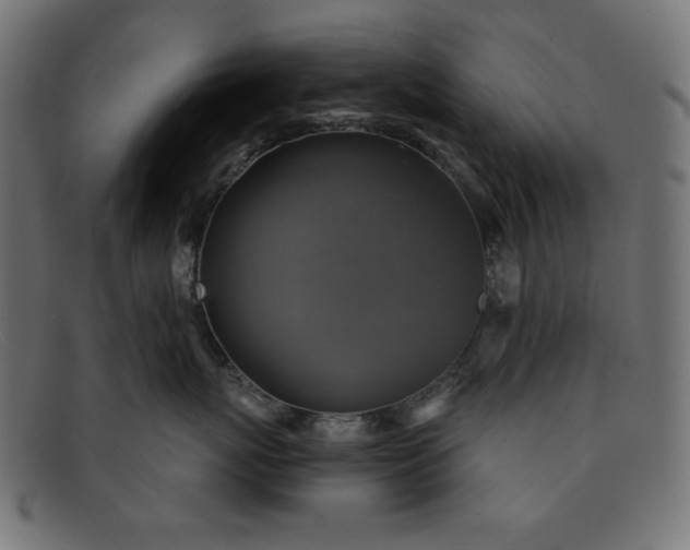 X0000091850767200709191056