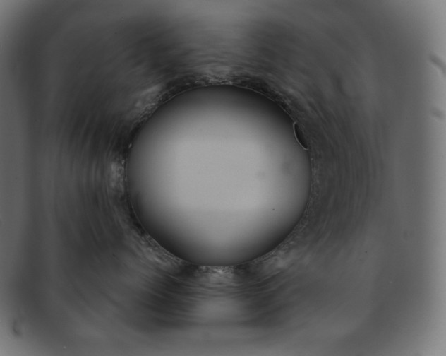 X0000091850768200709191056