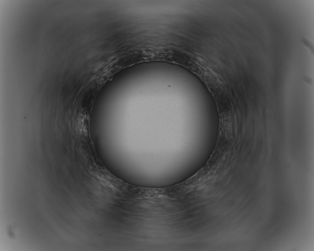 X0000091850770200709191056