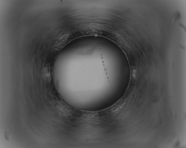X0000091850771200709191056