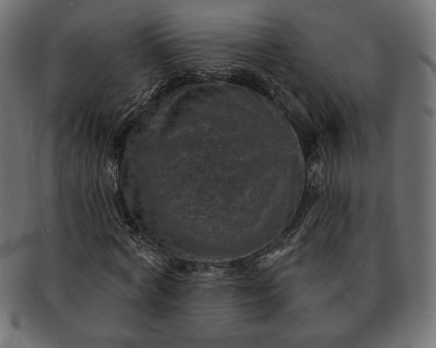 X0000091850772200709191056