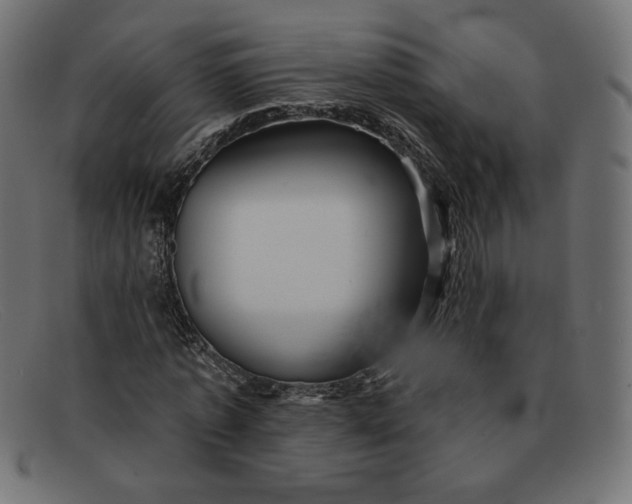 X0000091850773200709191056