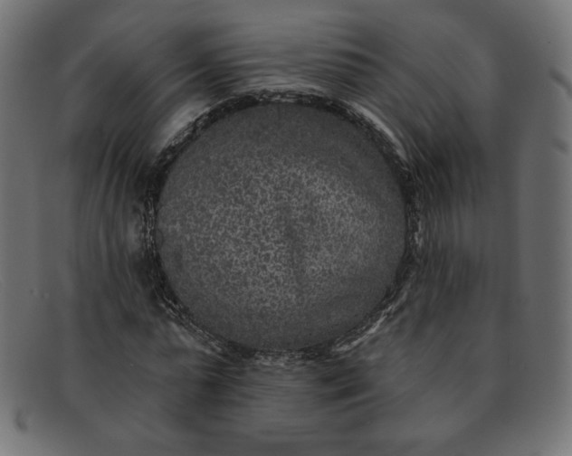 X0000091850775200709191055