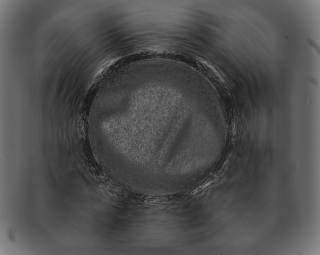 X0000091850776200709191055