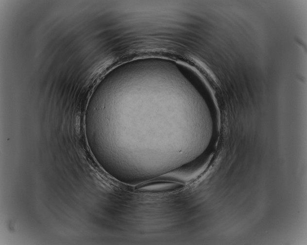 X0000091850777200709191055