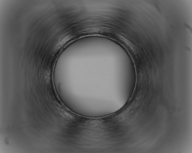 X0000091850778200709191055