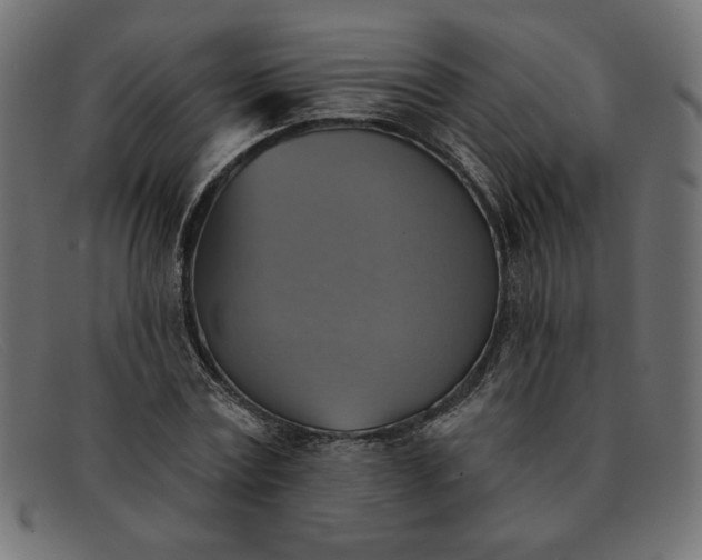 X0000091850779200709191055