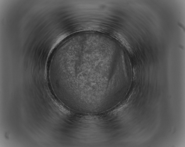X0000091850780200709191055