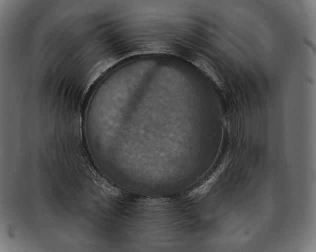 X0000091850781200709191055