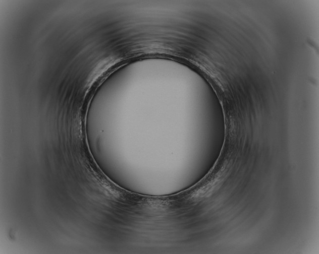 X0000091850782200709191055