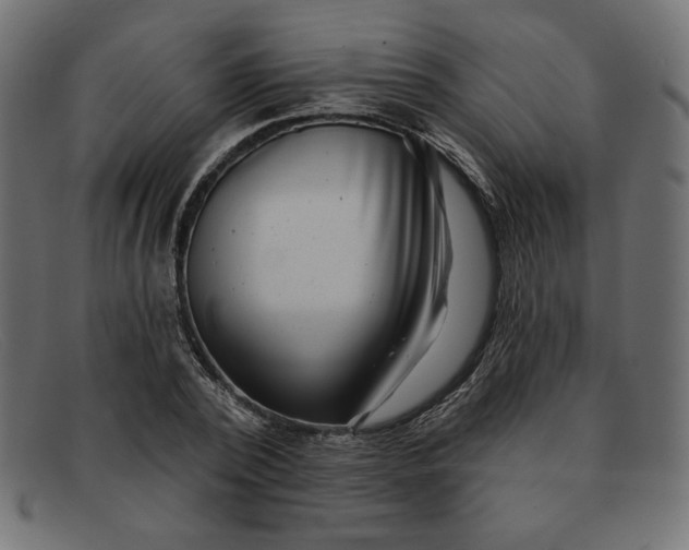 X0000091850784200709191055