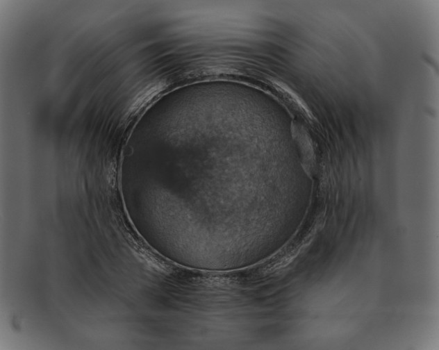 X0000091850785200709191055