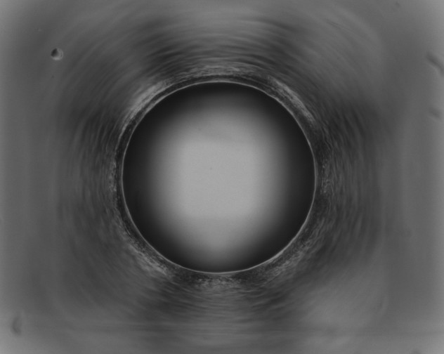 X0000091850786200709191055