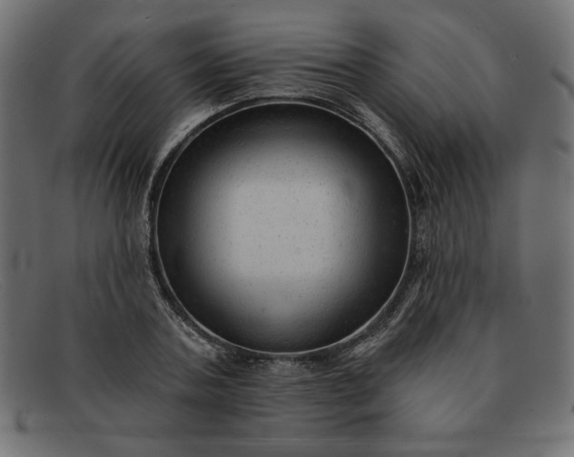 X0000091850787200709191055