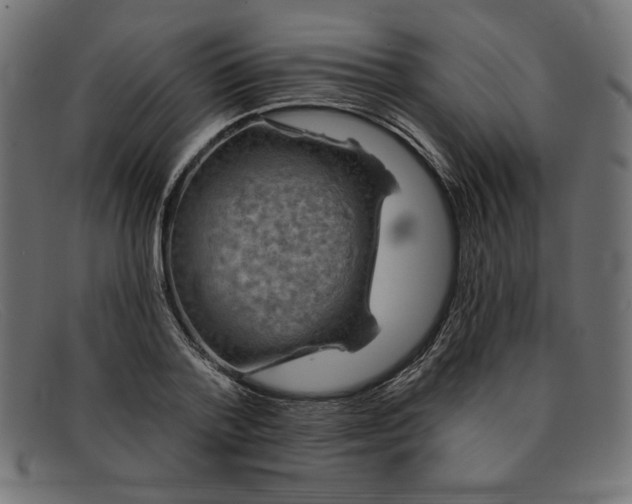 X0000091850788200709191055