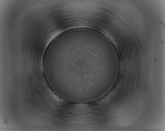 X0000091850789200709191055