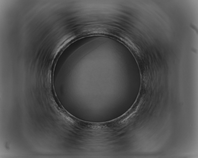 X0000091850790200709191055
