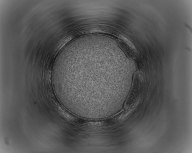 X0000091850793200709191055