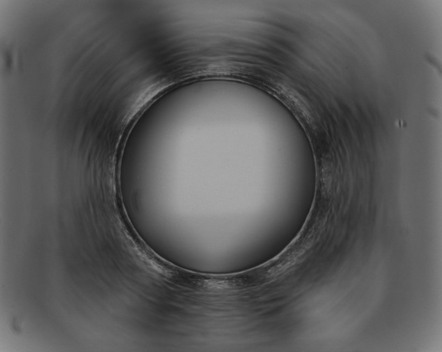 X0000091850794200709191055