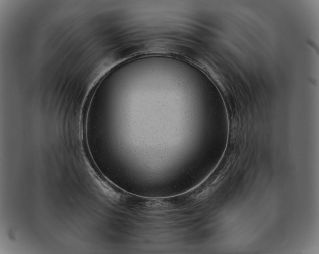 X0000091850795200709191055