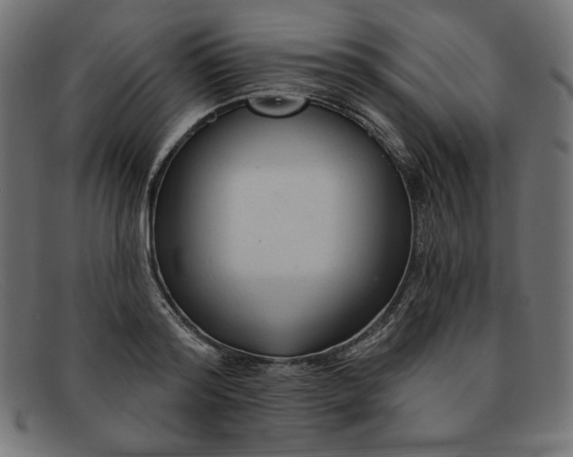 X0000091850796200709191055