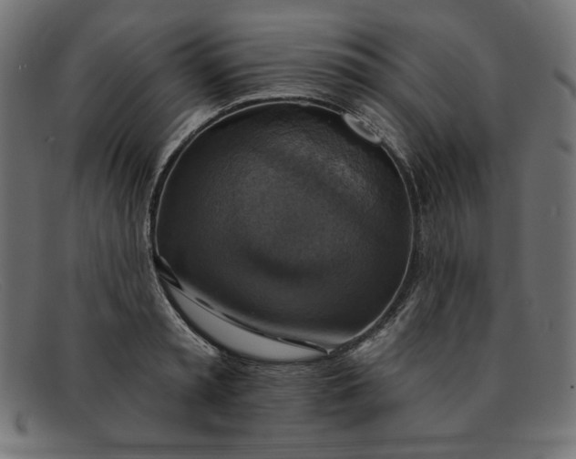 X0000091850797200709191055
