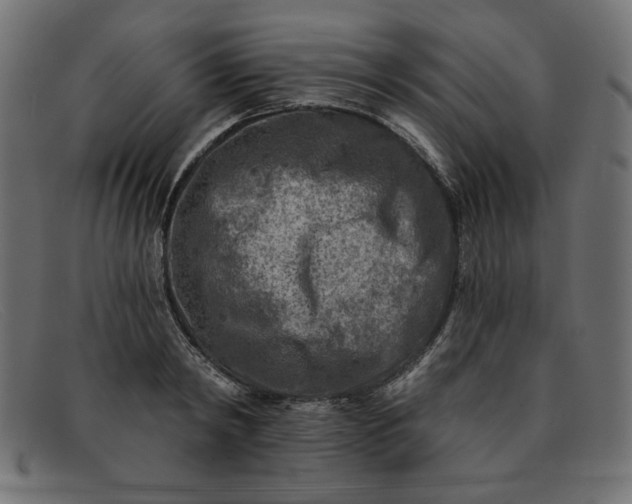 X0000091850798200709191055