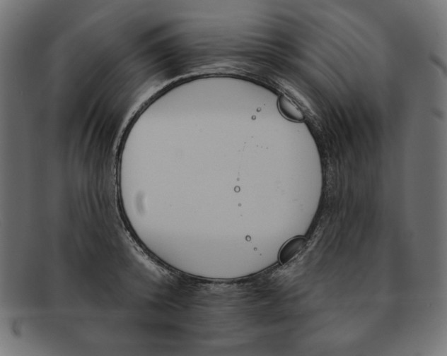X0000091850800200709191055
