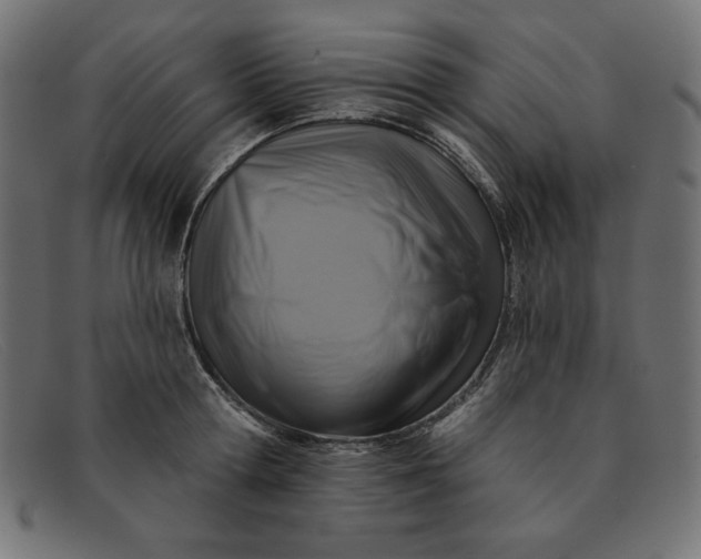 X0000091850802200709191055
