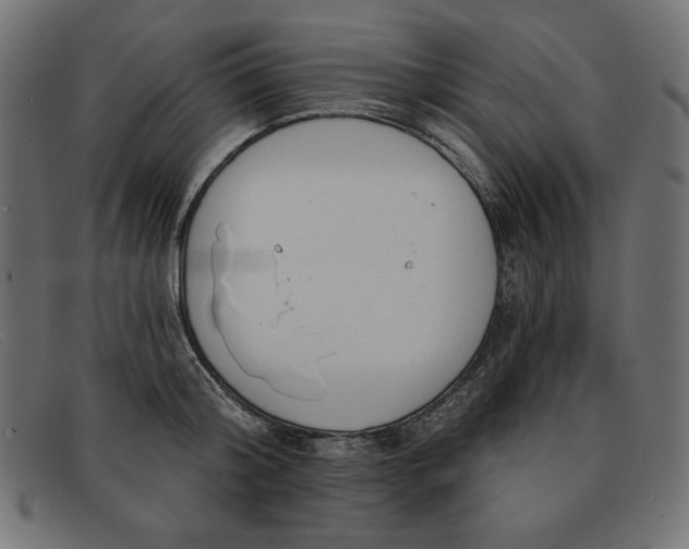 X0000091850804200709191055