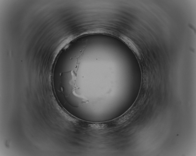 X0000091850805200709191055