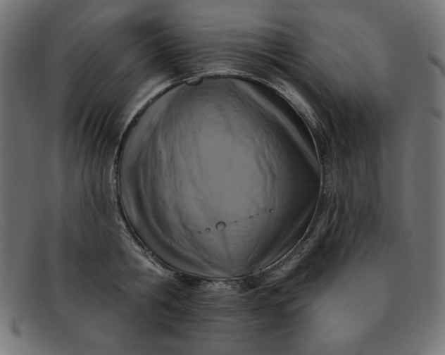 X0000091850806200709191055