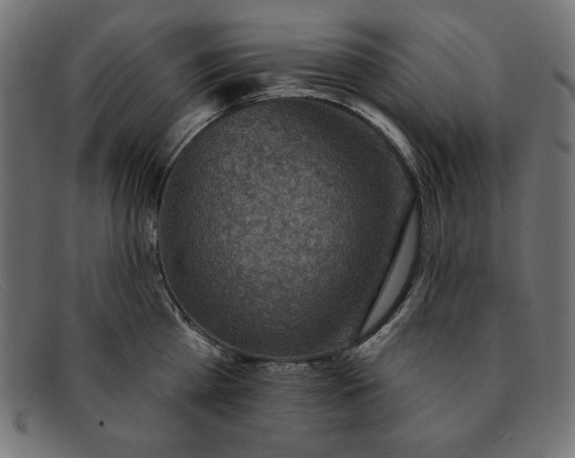 X0000091850809200709191055