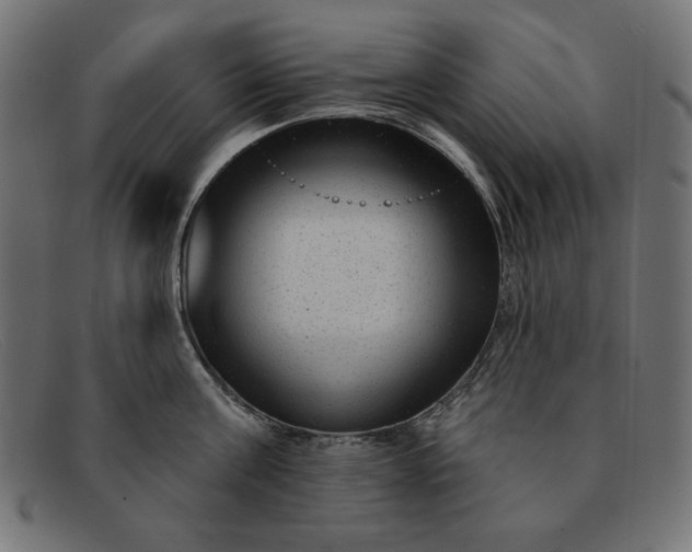 X0000091850811200709191055