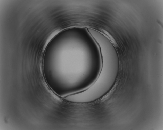 X0000091850812200709191055