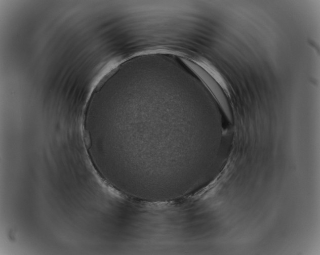 X0000091850813200709191055