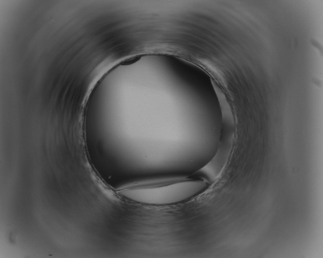 X0000091850816200709191055