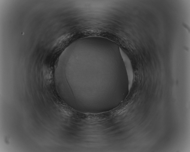 X0000091850818200709191054