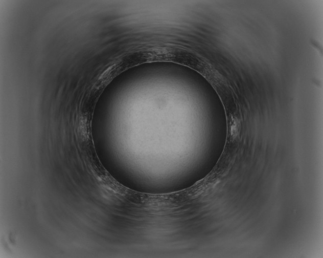 X0000091850819200709191054