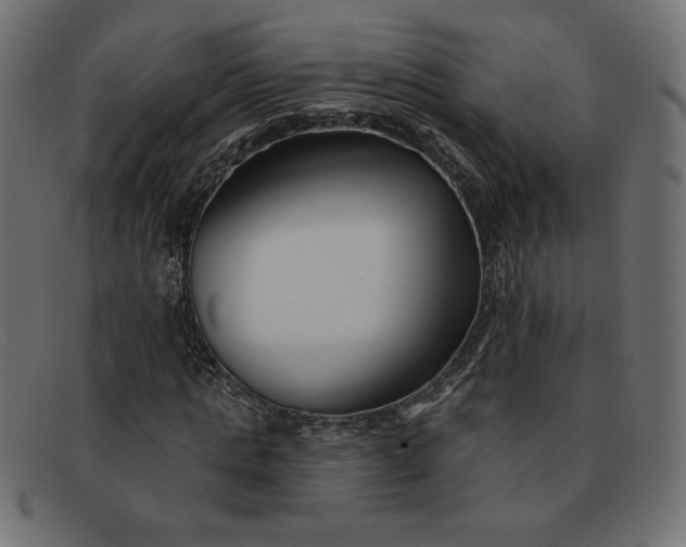 X0000091850821200709191054