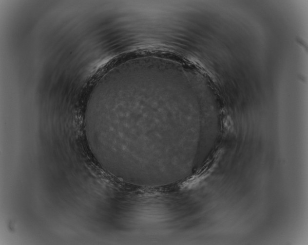 X0000091850822200709191054